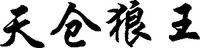 T IAN CANG LANG WANG.