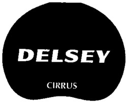 DELSEY CIRRUS