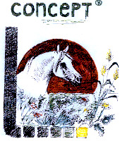concept