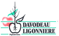 DAVODEAU LIGONNIERE