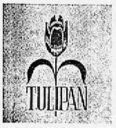 TULIPAN