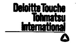 Deloitte Touche Tohmatsu International