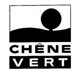 CHÊNE VERT