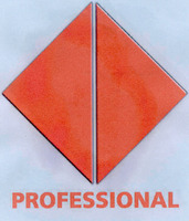 PROFESSIONAL