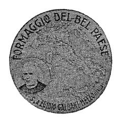 FORMAGGIO DEL BEL PAESE
