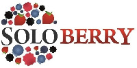 SOLOBERRY