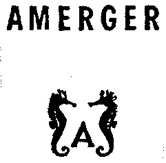 AMERGER