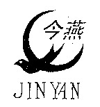 JIN YAN