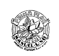PRIMA FLOR