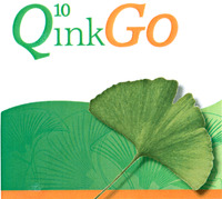 QinkGO 10