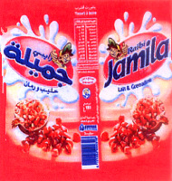 Raïbi Jamila