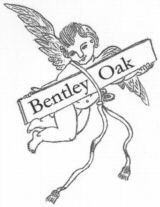 Bentley Oak