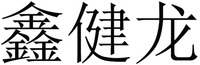  XIN JIAN LONG 
