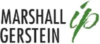 MARSHALL GERSTEIN ip