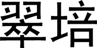 CUI PEI.