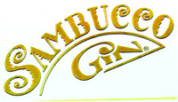 SAMBUCCO GIN