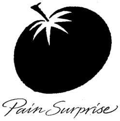 Pain Surprise