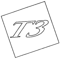 T3