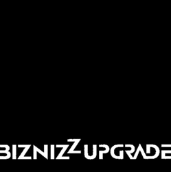 BIZNIZZ UPGRADE