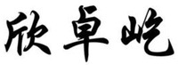 XIN ZHUO YI.