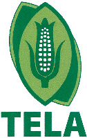 TELA