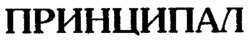  PRINCIPAL 