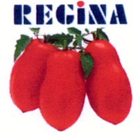 REGINA