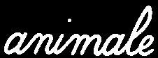 animale