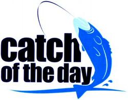 catch of the day