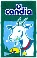 candia