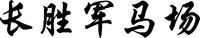CHANG SHENG JUN MA CHANG