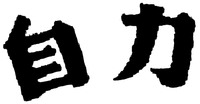 Zi li