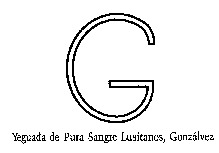 G Yeguada de Pura Sangre Lusitanos, Gonzálvez