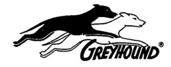 GREYHOUND