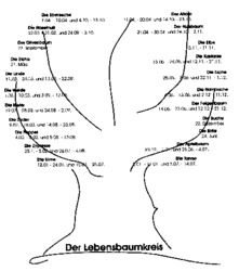 Der Lebensbaumkreis