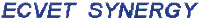 ECVET SYNERGY