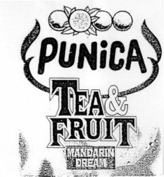 PUNiCA TEA & FRUIT MANDARIN DREAM