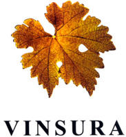 VINSURA