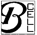 B CELL
