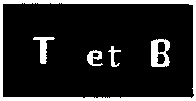 T et B