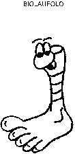BIOLAUFOLO