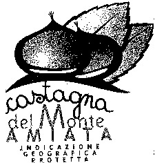 castagna del Monte AMIATA