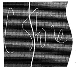 L Store