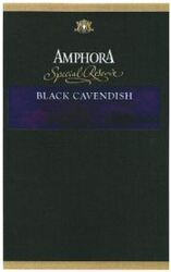 AMPHORA BLACK CAVENDISH