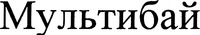 MULTIBAY (Cyrillic)