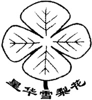 XING HUA XUE LI HUA