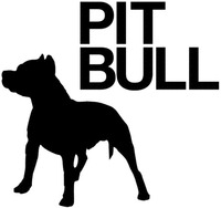 PIT BULL