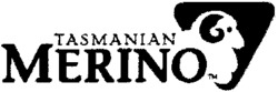 TASMANIAN MERINO