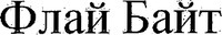 FLY BAYT (Cyrillic)
