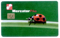 Mercator Pika